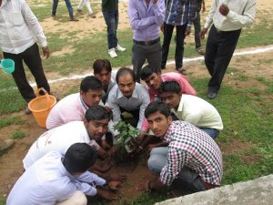 ashwani kumar dubey plantation